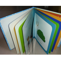 Custom Children Board Book Printing